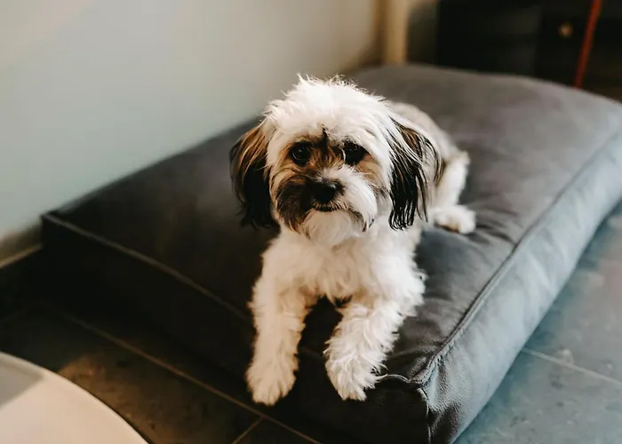 Hotel Parkhotel Gütersloh