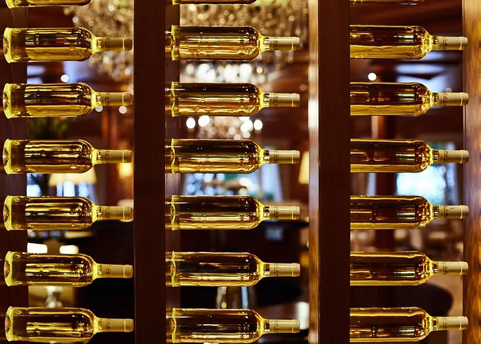 居特斯洛公园酒店 5* 居特斯洛